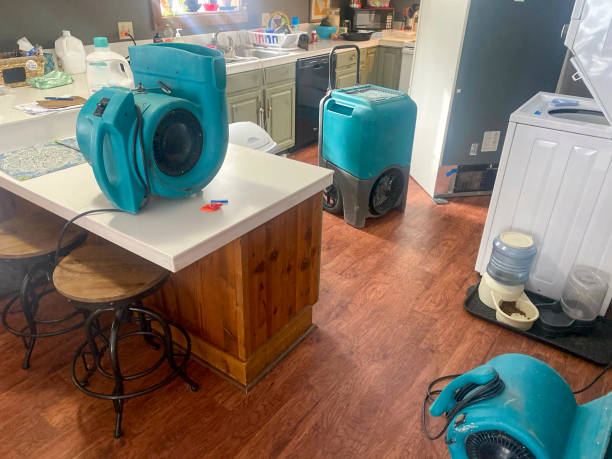 Best Flooded house restoration  in Pineland, TX