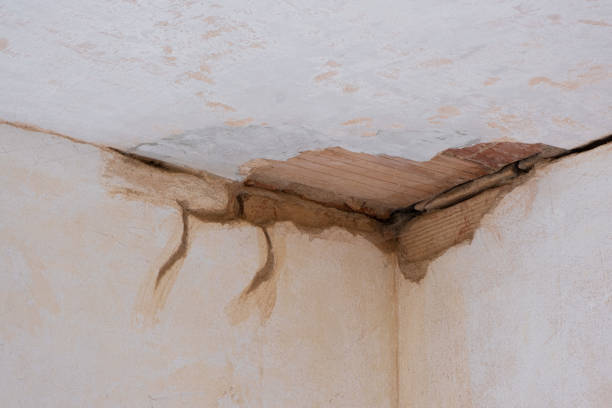 Best Fire Damage Restoration  in Pineland, TX
