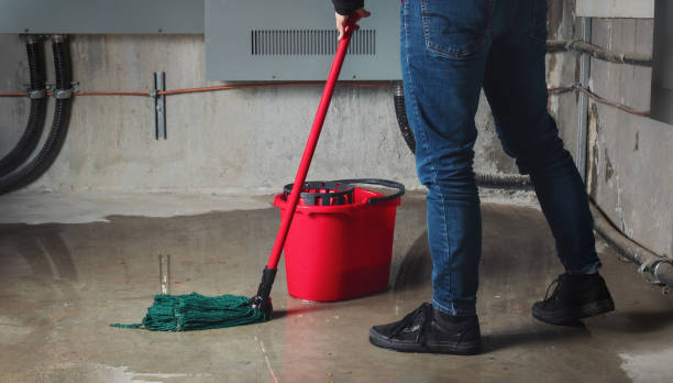Best Carpet water damage restoration  in Pineland, TX