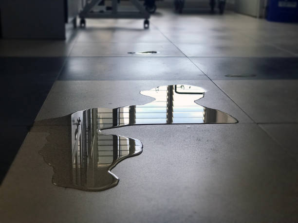 Best Commercial water damage restoration  in Pineland, TX