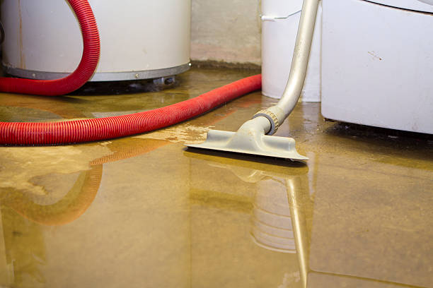 Best Emergency water damage restoration  in Pineland, TX