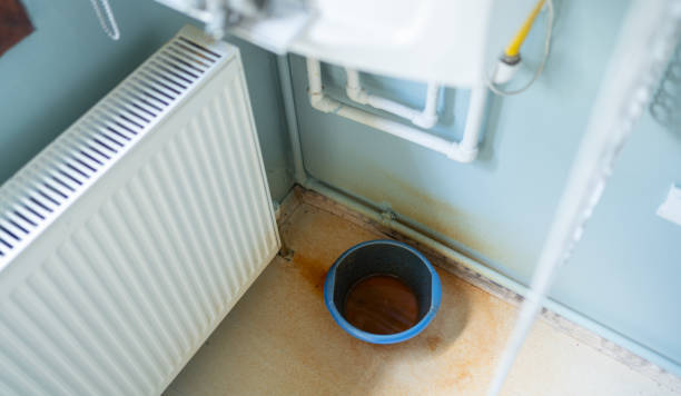 Best Flood damage cleanup  in Pineland, TX